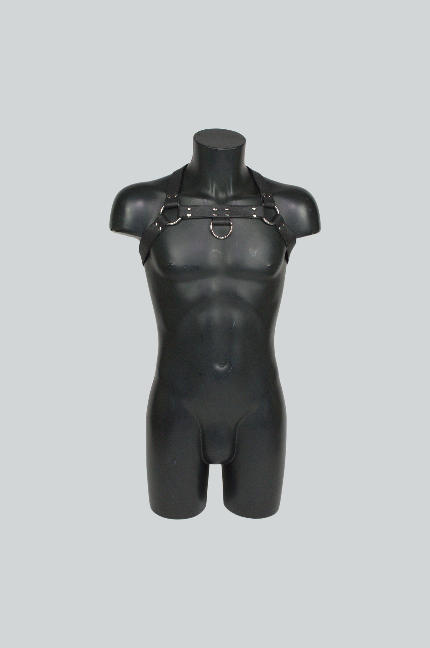 Facundo Harness
