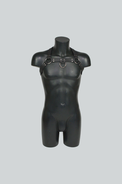 Facundo Harness