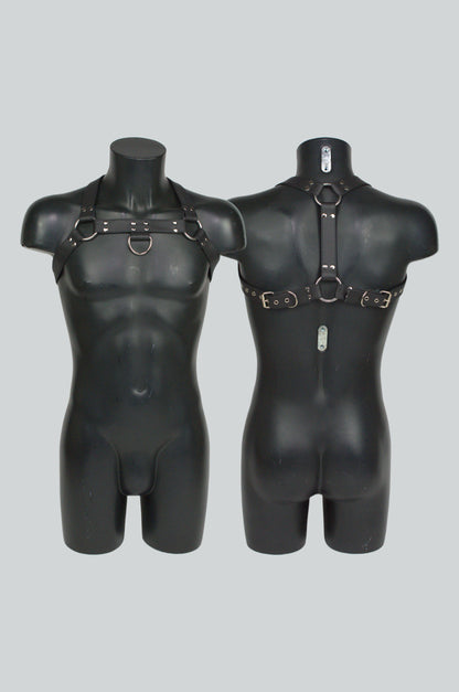 Facundo Harness