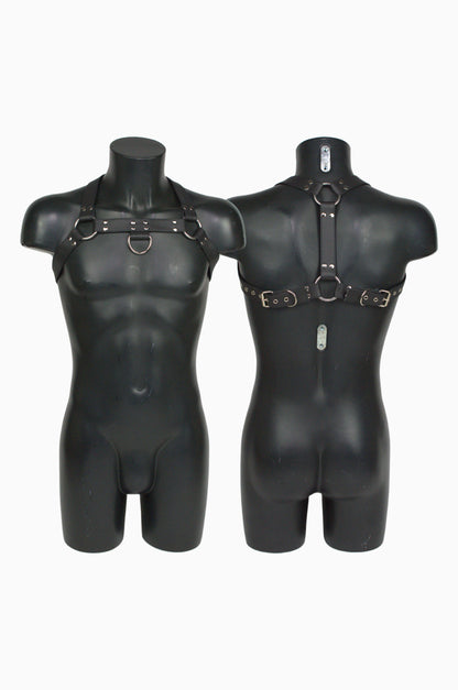 Facundo Harness