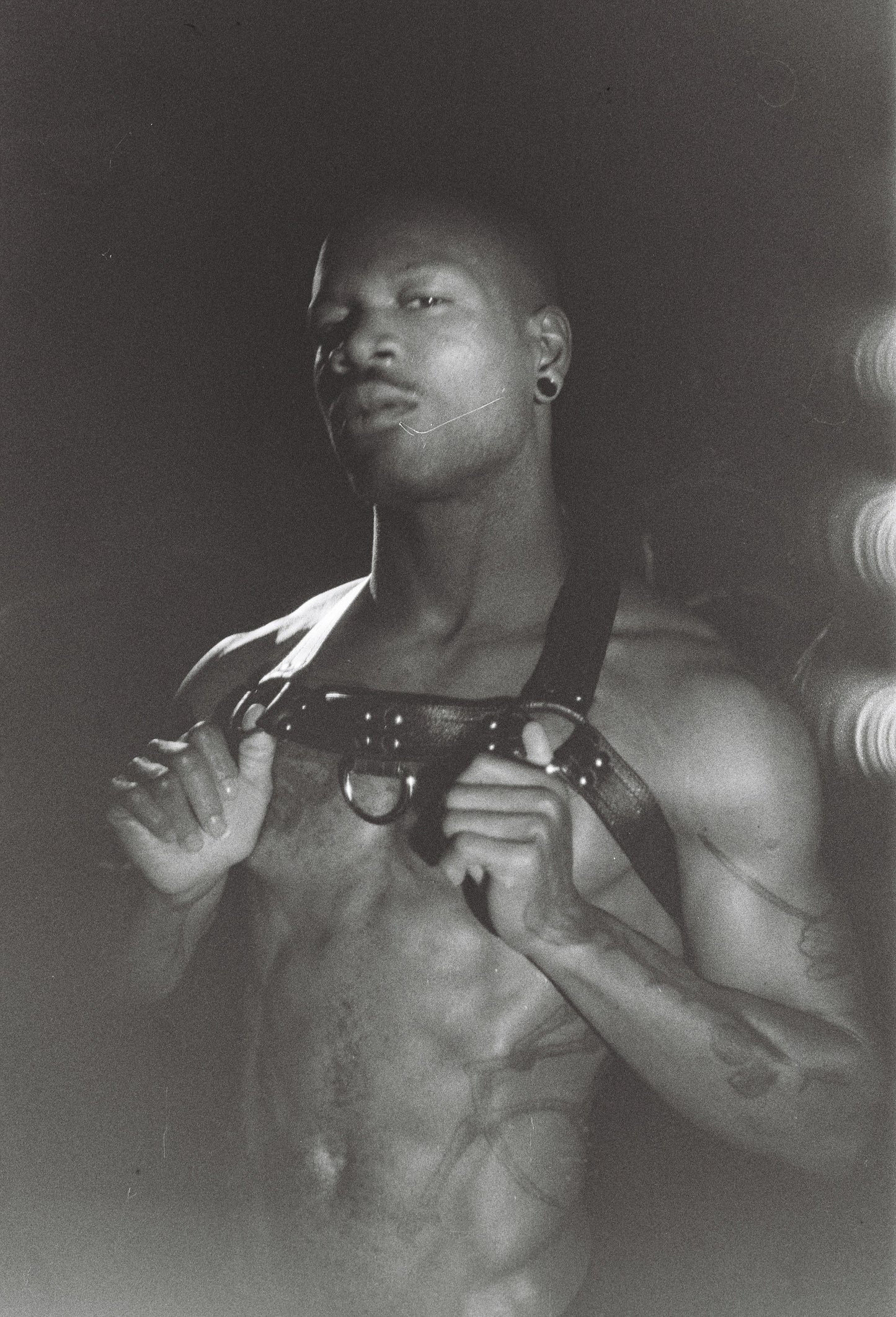 Facundo Harness