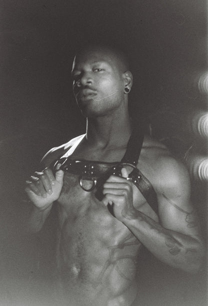 Facundo Harness